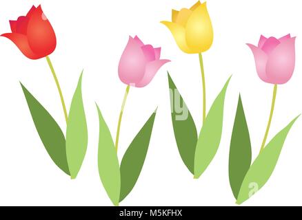 Eine illusration von vier verschiedenen farbigen Tulpen Stock Vektor