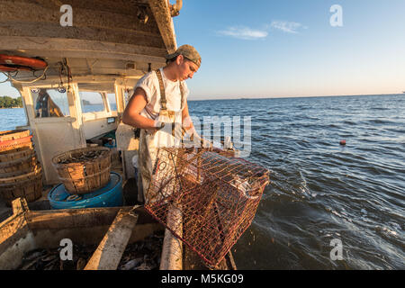 Junge Waterman ziehen in Krabben fangen auf dem Schiff auf der Chesapeake Bay mit dem Horizont im Hintergrund, Dundalk, Maryland. Stockfoto