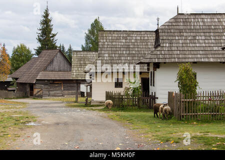 Die ursprüngliche Architektur in einem Pribylina vilalge Stockfoto