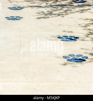 Ein Bürgersteig außerhalb ein Tierheim mit pfotenabdrücke. Stockfoto