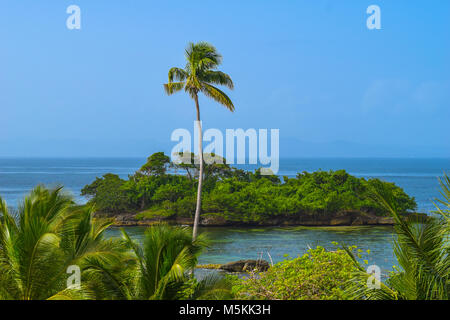 Blick über Palmen zu ein wenig keine benannten Tropical Island, einer großen Palme vor der Insel, blauer Himmel, Dominikanische Republik Stockfoto