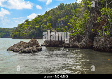 Nationalpark Los Haitises Dominikanische Republik, Naturschutzgebiet, das Meer und die Insel mit so vielen grünen tropischen Pflanzen Stockfoto