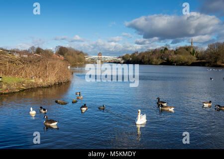 Die Barton Road Swing Bridge und der Barton Swing Aquädukt aus den Manchester Ship Canal bei Barton-upon-Irwell, Salford, Manchester, UK. Stockfoto