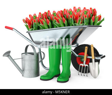 Schubkarre mit Blumen, Stiefel, Gießkanne, Schaufel und Hacke, auf weißem Hintergrund 3D Rendering isoliert