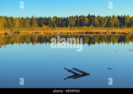 Blick auf einen See in einem Naturschutzgebiet, wolkenlosen blauen Himmel, Bäume Spiegelung im Wasser, Schwenninger Moos, Deutschland Stockfoto