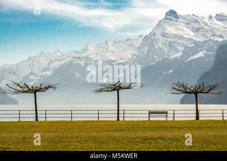 Kleiner Park in der Nähe von Brunnen mit schöner Aussicht auf die Alpen und den Vierwaldstättersee Stockfoto