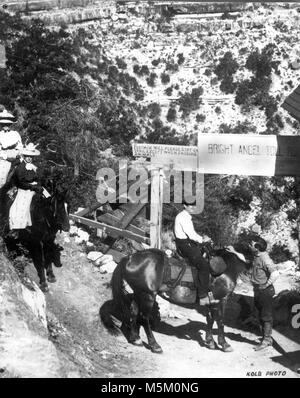 Grand Canyon historischen Bright Angel Trail Tribut. Mitfahrer zahlen Tribut an Cameron Bright Angel Trail. Tor mit TOLL schildern. "Lackei, bitte stellen Sie sich auf den Weg, außer, wenn sie Tiere." Ecke von KOLB STUDIO GEBÄUDE AUF DER RECHTEN SEITE. Um 1910. KOLB BROS. Stockfoto