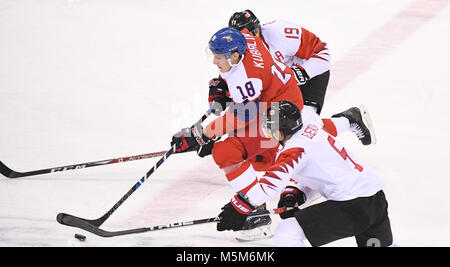 Pyeongchang, Südkorea. 24 Feb, 2018. Dominik Kubalik (Nr. 18) der Tschechischen Republik Mias für den Puck während der Bronze Medaille der Männer Spiel Eishockey gegen Kanada an den Olympischen Winterspielen 2018 PyeongChang an Gangneung Hockey Centre, Gangnueng, Südkorea, 24.02.2018. Kanada gewann 6:4 und behauptete die Bronzemedaille. Credit: Wang Haofei/Xinhua/Alamy leben Nachrichten Stockfoto