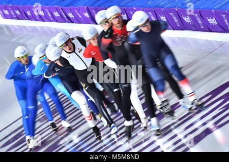 Speedskater in Aktion an der Gangneung Oval in Tainan, Südkorea, 24. Februar 2018. Foto: Peter Kneffel/dpa Stockfoto