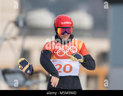 Zan KOSIR, SLO, Aktion, Snowboard Parallel Riesenslalom der Maenner, Snowboard - Männer Parallel Riesenslalom am 24.02.2018, Olympische Winterspiele 2018, vom 09.02. - 25.02.2018 in PyeongChang/Suedkorea. | Verwendung weltweit Stockfoto