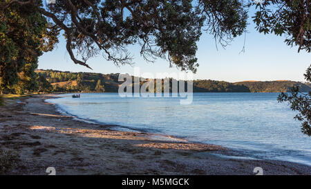 Whangarei malerische Aussicht, North Island, Neuseeland Stockfoto