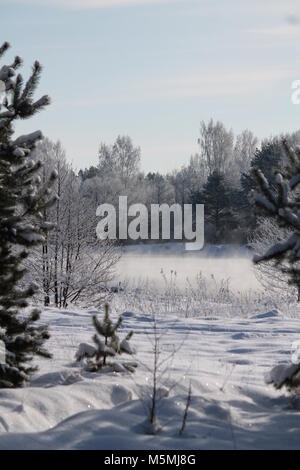Wunderschöne Landschaft River Bank in kalten Wintertag fallen/ Schnee und Rauhreif aussehen wie märchenhaften Ort Stockfoto