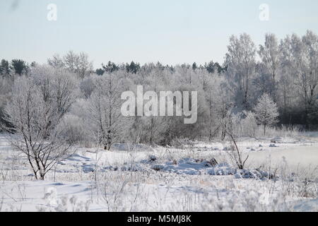 Wunderschöne Landschaft River Bank in kalten Wintertag fallen/ Schnee und Rauhreif aussehen wie märchenhaften Ort Stockfoto