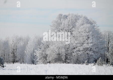 Wunderschöne Landschaft River Bank in kalten Wintertag fallen/ Schnee und Rauhreif aussehen wie märchenhaften Ort Stockfoto