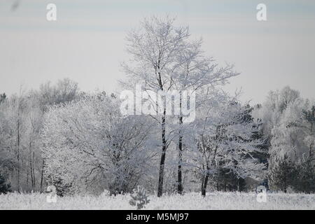 Wunderschöne Landschaft River Bank in kalten Wintertag fallen/ Schnee und Rauhreif aussehen wie märchenhaften Ort Stockfoto