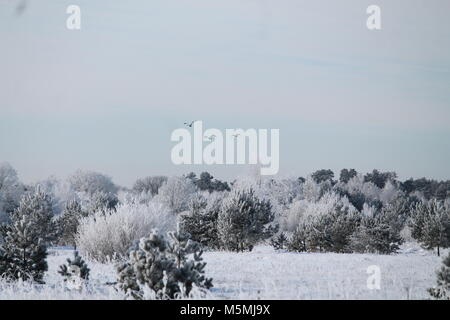 Wunderschöne Landschaft River Bank in kalten Wintertag fallen/ Schnee und Rauhreif aussehen wie märchenhaften Ort Stockfoto