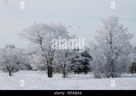 Wunderschöne Landschaft River Bank in kalten Wintertag fallen/ Schnee und Rauhreif aussehen wie märchenhaften Ort Stockfoto