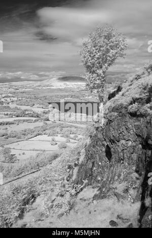 Fotoshoots von Kendall im Lake District. Infra Red DSLR, sonnigen Tag, Fotografin Claire Allen. Wunderschöne Landschaft Fotografie Stockfoto