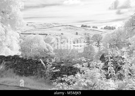 Fotoshoots von Kendall im Lake District. Infra Red DSLR, sonnigen Tag, Fotografin Claire Allen. Wunderschöne Landschaft Fotografie Stockfoto