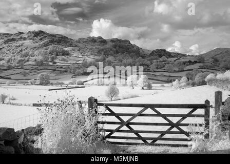 Fotoshoots von Kendall im Lake District. Infra Red DSLR, sonnigen Tag, Fotografin Claire Allen. Wunderschöne Landschaft Fotografie Stockfoto