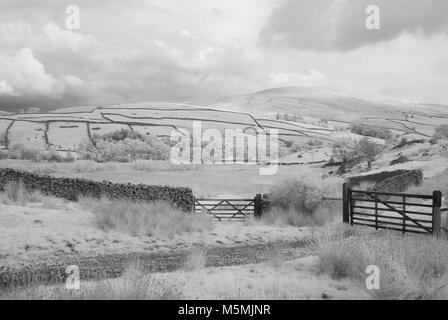 Fotoshoots von Kendall im Lake District. Infra Red DSLR, sonnigen Tag, Fotografin Claire Allen. Wunderschöne Landschaft Fotografie Stockfoto