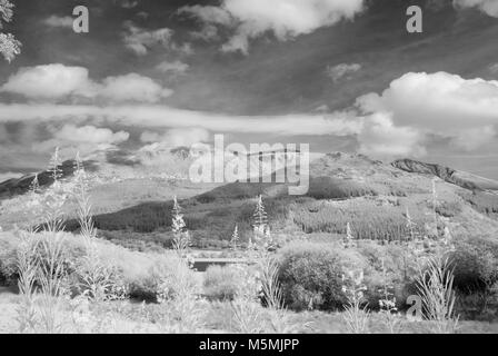 Fotoshoots von Kendall im Lake District. Infra Red DSLR, sonnigen Tag, Fotografin Claire Allen. Wunderschöne Landschaft Fotografie Stockfoto