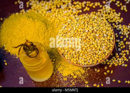 Coriandrum sativum / Koriander / dhaniya Öl mit getrockneten Koriander Samen in einem Ton Schüssel. Stockfoto