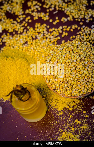 Coriandrum sativum / Koriander / dhaniya Öl mit getrockneten Koriander Samen in einem Ton Schüssel. Stockfoto
