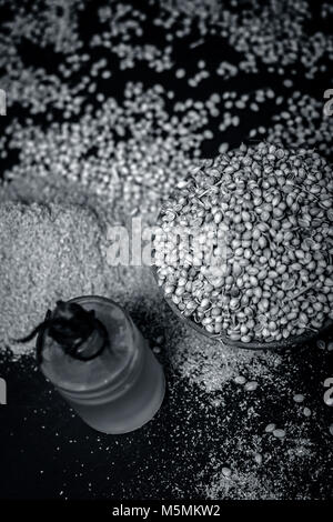 Coriandrum sativum / Koriander / dhaniya Öl mit getrockneten Koriander Samen in einem Ton Schüssel. Stockfoto