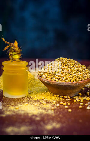 Coriandrum sativum / Koriander / dhaniya Öl mit getrockneten Koriander Samen in einem Ton Schüssel. Stockfoto