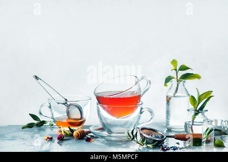 Sprink trinken Fotografie Konzept. Glas transparent Teetassen in einem High-key Feder noch Leben mit Glasflaschen, Honig Löffel, Äste und frische grüne Blätter. Stockfoto
