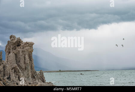 Mit Gewitterwolken brauen, Sand tufas stand hoch über Mono Lake, Kennzeichnung Rezession der salzigen Wasser über Jahrtausende in Lee Vining, Kalifornien Stockfoto