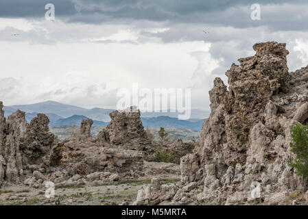 Mit Gewitterwolken brauen, Sand tufas stand hoch über Mono Lake, Kennzeichnung Rezession der salzigen Wasser über Jahrtausende in Lee Vining, Kalifornien Stockfoto