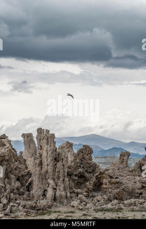 Mit Gewitterwolken brauen, Sand tufas stand hoch über Mono Lake, Kennzeichnung Rezession der salzigen Wasser über Jahrtausende in Lee Vining, Kalifornien Stockfoto