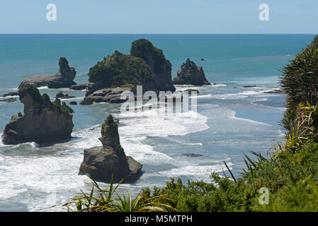 Native Bush Frames ein Strand bei Ebbe auf dem West Coast Beach, South Island, Neuseeland Stockfoto