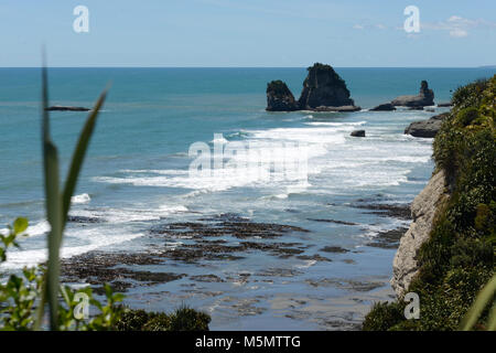 Native Bush Frames ein Strand bei Ebbe auf dem West Coast Beach, South Island, Neuseeland Stockfoto