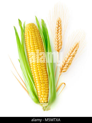 Isolierte Getreide. Ein Ohr von Mais- und zwei Ohren von Weizen mit Blättern auf weißem Hintergrund mit Freistellungspfad isoliert Stockfoto