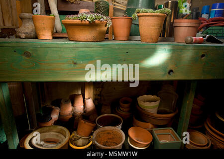 Gartenhaus Interieur mit Sukkulenten auf Tisch Stockfoto