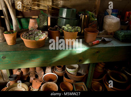 Gartenhaus Interieur mit Pflanzen und Töpfe Stockfoto