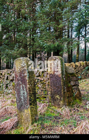 Alte Steinmauer und Stone Gate Säulen Stockfoto