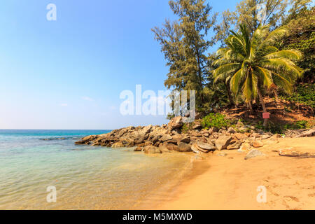Palm Tree an einem schönen sonnigen Tag, Banana Beach, Phuket, Thailand Stockfoto