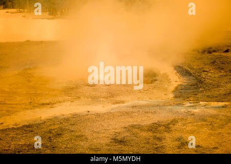 Dampfende Geysire Vent in an Upper Geyser Basin im Yellowstone Nationalpark, Wyoming infrared im Winter. Stockfoto