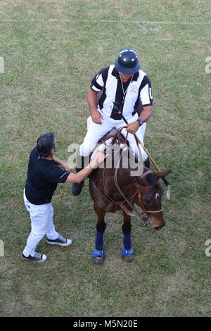 SCOTTSDALE, ARIZONA - NOVEMBER 2, 2013: Die 2013 Maserati und Ferrari Polo Championship Event in Scottsdale, Arizona, am 2. November 2013. Stockfoto