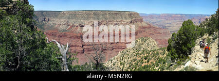 Grand Canyon National Park beginnen, Einsiedler Trail. Als Wanderer auf dem Einsiedler Trail verlassen Trail Top Gulch, erhalten sie ihren ersten Blick auf den Grand Canyon. Die obere Partie der Einsiedler Weg ist steil und eine nachhaltige, fallen fast 2000 vertikalen Fuß (610 m) in den ersten 2,5 Meilen (4 km). Die Durchfahrt durch den Kaibab und Coconino Formationen wird über gut definierte Serpentinen. Stockfoto