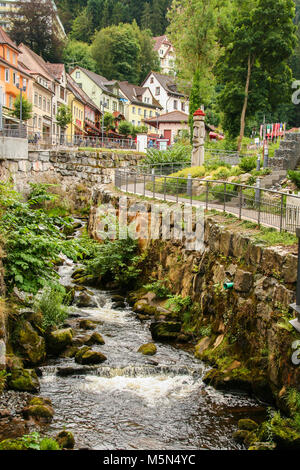 Endingen Fluss in Triberg im Schwarzwald, Baden wuttemberg, Deutschland Stockfoto