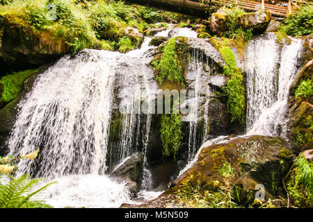 Der höchste Wasserfall Deutschlands in Triberg im Schwarzwald, Baden wuttemberg Stockfoto