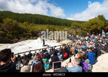 Lady Knox Geysir Stockfoto