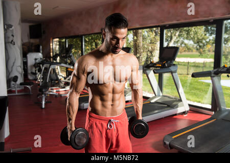 Sportler trainieren In einem Fitness-Studio - Kurzhantel Konzentrationscurls Bizeps Stockfoto