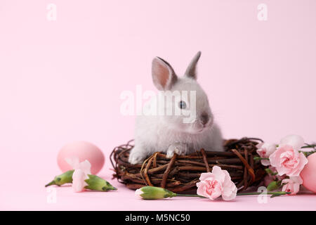 Osterhase mit Blumen auf rosa Hintergrund Stockfoto