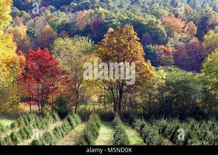 Ein Blick auf die Georgia Landschaft in der Nähe von Hanover, USA Stockfoto